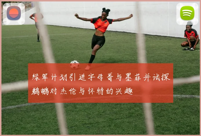 绿军计划引进字母哥与墨菲并试探鹈鹕对杰伦与怀特的兴趣